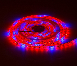 Фитолента для растений LED SMD 5050 IP65 5к:1с - 5 метров Фитолента для растений LED SMD 5050 IP65 5к:1с - 5 метров