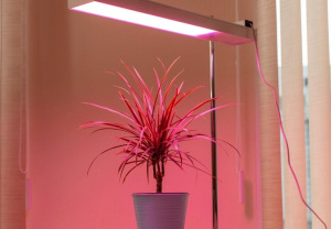 Подсветка растений и рассады LED