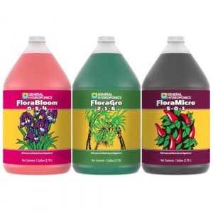 GH Flora Series (USA)