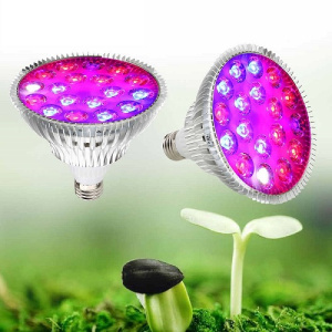 Фитолампы для растений LED