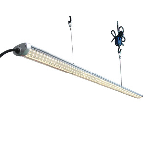 FLORA  LED Линейные